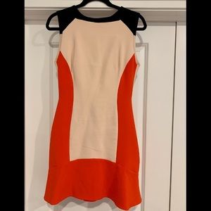 Zara Color Blocked Basic Dress